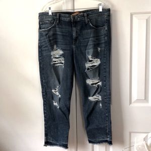 JOE’S Jeans Collectors Edition